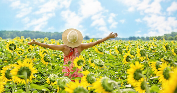 Zomer zonnebloemen Opvliegers in de zomer - zelfhulptips om af te koelen 1